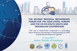 Second Regional Networking Forum to explore role of South-South ...