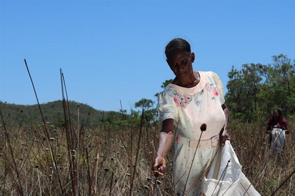 IOM at COP30 in Brazil Puts People at the Centre of Climate Action