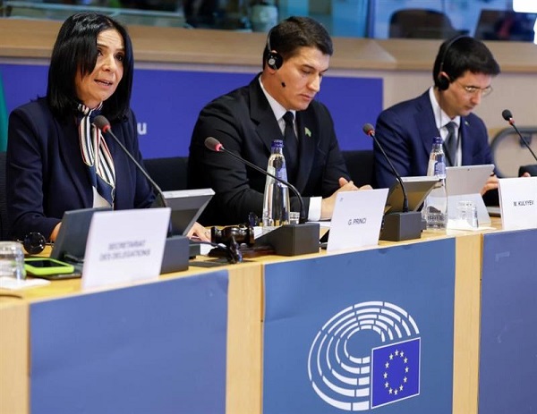 The 9th EU–Turkmenistan Inter-Parliamentary meeting held in Brussels